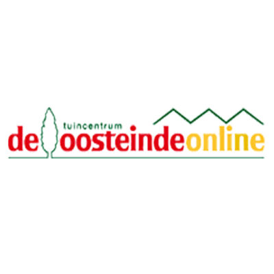 De Oosteinde Online
